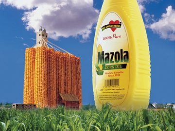 عکاسی و طراحی پوستر تبلیغاتی روغن مازولا